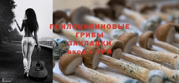 apvp Осинники