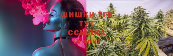 apvp Осинники