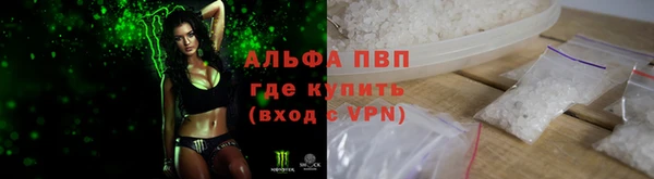 дурь Осташков