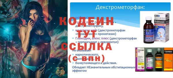 дурь Осташков