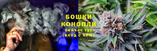 дурь Осташков