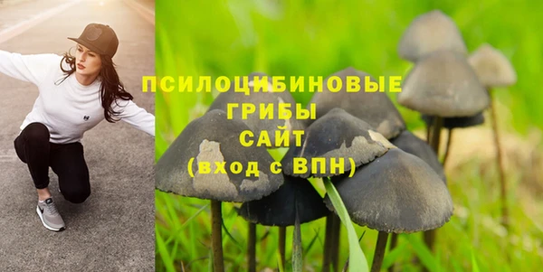 марки nbome Няндома