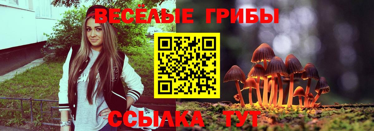 Большой Камень  Галлюциногенные грибы прущие грибы  продажа наркотиков  Вход с VPN 