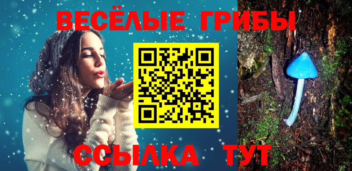 Псилоцибиновые грибы мухоморы Большой Камень